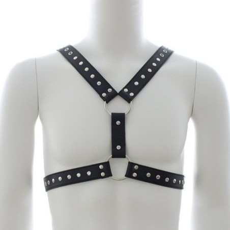 Harnais homme Strap Chest- Harnais Homme en stock sur Fun et plaisirs