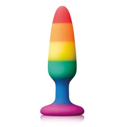 Plug en silicone Rainbow 10 x 2.8 cm- Plugs Débutant & Kits en stock sur Fun et plaisirs