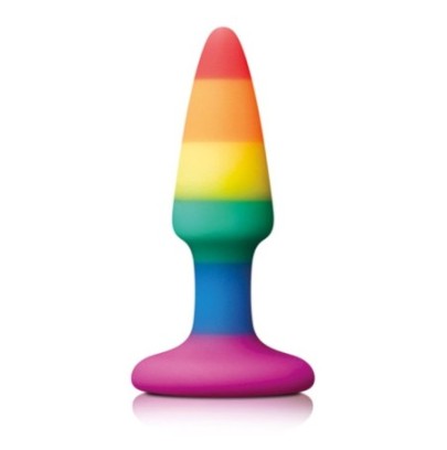 Plug en silicone Rainbow 8 x 2.4 cm- Plugs Débutant & Kits en stock sur Fun et plaisirs