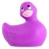 Canard Vibrant Classic Violet