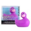 Canard Vibrant Classic Violet