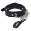 Collier et Laisse Deluxe Collar Noir