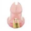 Cage de chasteté Mini Locky 6 x 3.2cm Rose