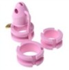 Cage de chasteté silicone Birdlocked 11 x 3.2 cm Rose