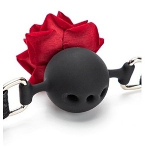 Baillon Boule avec Rose Bud Gag Rouge