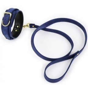 Collier et Laisse Lighty Bleu- Colliers & Laisses en stock sur Fun et plaisirs