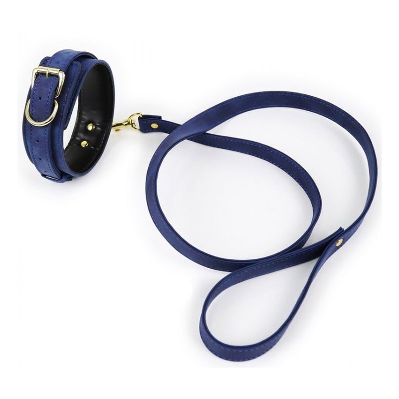 Collier et Laisse Lighty Bleu