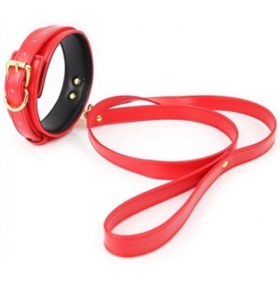 Collier et Laisse Lighty Rouge- Colliers & Laisses en stock sur Fun et plaisirs