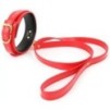 Collier et Laisse Lighty Rouge