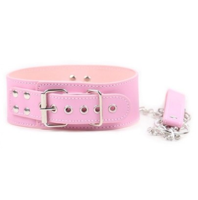 Collier et Laisse Pin Lock Rose- Colliers & Laisses en stock sur Fun et plaisirs