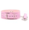 Collier et Laisse Pin Lock Rose