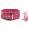 Collier Laisse Pin Lock Fuchsia