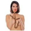 Collier et laisse Darling Pet Bronze 1m