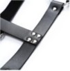 Harnais CHEST BELT Noir