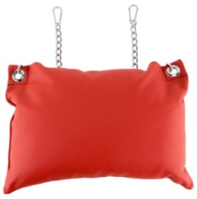 Coussin en cuir 23 x 32cm + Chaînes Rouge- Playroom Donjon en stock sur Fun et plaisirs