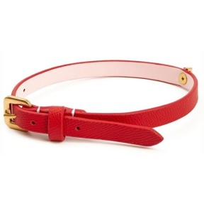 Collier Phoebe Rouge- Colliers & Laisses en stock sur Fun et plaisirs