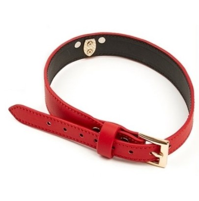 Collier-Laisse Master Me Rouge