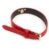 Collier-Laisse Master Me Rouge