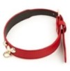 Collier-Laisse Master Me Rouge