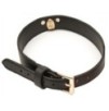 Collier-Laisse Master Me Noir