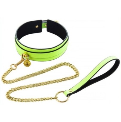 Collier-laisse phosphorescent Luminous Vert- Colliers & Laisses en stock sur Fun et plaisirs