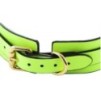 Collier-laisse phosphorescent Luminous Vert