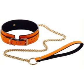 Collier-Laisse Phosphorescent Luminous Orange- Colliers & Laisses en stock sur Fun et plaisirs