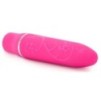 Mini Vibro Bliss Vibe 10.5cm Rose