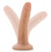 Gode réaliste Good Dick Dr Skin 12 x 3.2cm