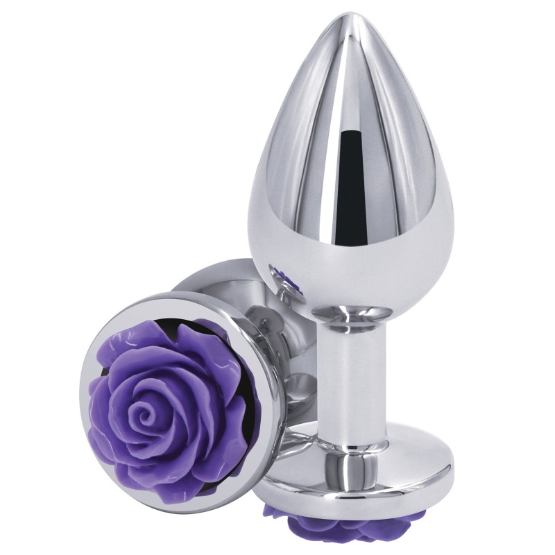 Plug bijou Rear M 7 x 3.4cm Argenté-Violet