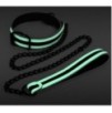 Collier-Laisse fluorescente Glo 75cm