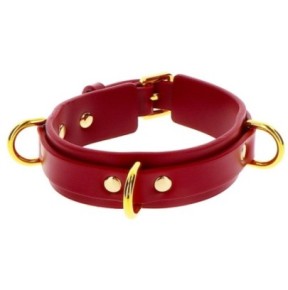 Collier D-Ring Taboom Rouge- Colliers & Laisses en stock sur Fun et plaisirs