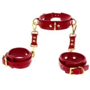 Collier D-Ring avec Menottes de poignets Taboom Rouge- Bondage & Attaches en stock sur Fun et plaisirs