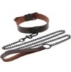 Collier-Laisse punk Marron