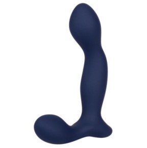 Stimulateur de prostate Expert Probe Viceroy 10 x 2.5cm- Stimulateurs Prostatiques en stock sur Fun et plaisirs