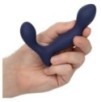 Stimulateur de prostate Expert Probe Viceroy 10 x 2.5cm