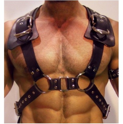 Harnais GLADIATOR SHOULD Noir- Harnais Homme en stock sur Fun et plaisirs