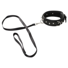 Collier et Laisse Vegan Fetish- Colliers & Laisses en stock sur Fun et plaisirs