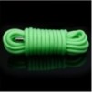 Corde de bondage Luminous 10M Verte