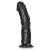 Gode Curved Dildo 18 x 4.2cm Noir