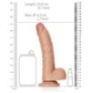 Gode réaliste Curved RealRock 17 x 4.3cm Latino