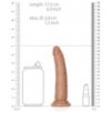 Gode réaliste Slim Dildo 15.5 x 3.8cm Latino