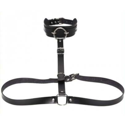 Collier + Ceinture Belt Strict Noir- Harnais Femme en stock sur Fun et plaisirs