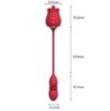 Stimulateur de clitoris et Point G Rose Egg 9 x 3cm