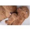 Peluche Pénis 28cm Marron