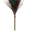 Tickle Peacock Taboom 42cm