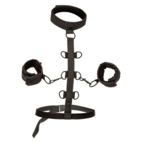 Attaches Sm Collar Body Restraint Boundless- Bondage & Attaches en stock sur Fun et plaisirs