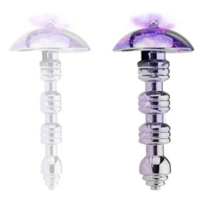 Plug Pénis Électro Acier Shockstain M 6cm - Diamètre 8mm- Plugs Pénis en stock sur Fun et plaisirs