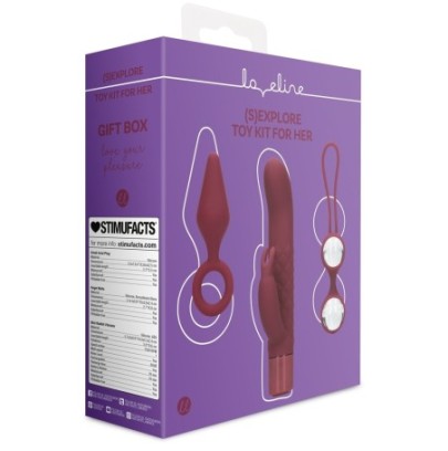 Coffret de Sextoys pour Elle Darkcherry 3 Accessoires