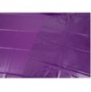 Bâche en Vinyle Lack 200 x 230 cm Violette